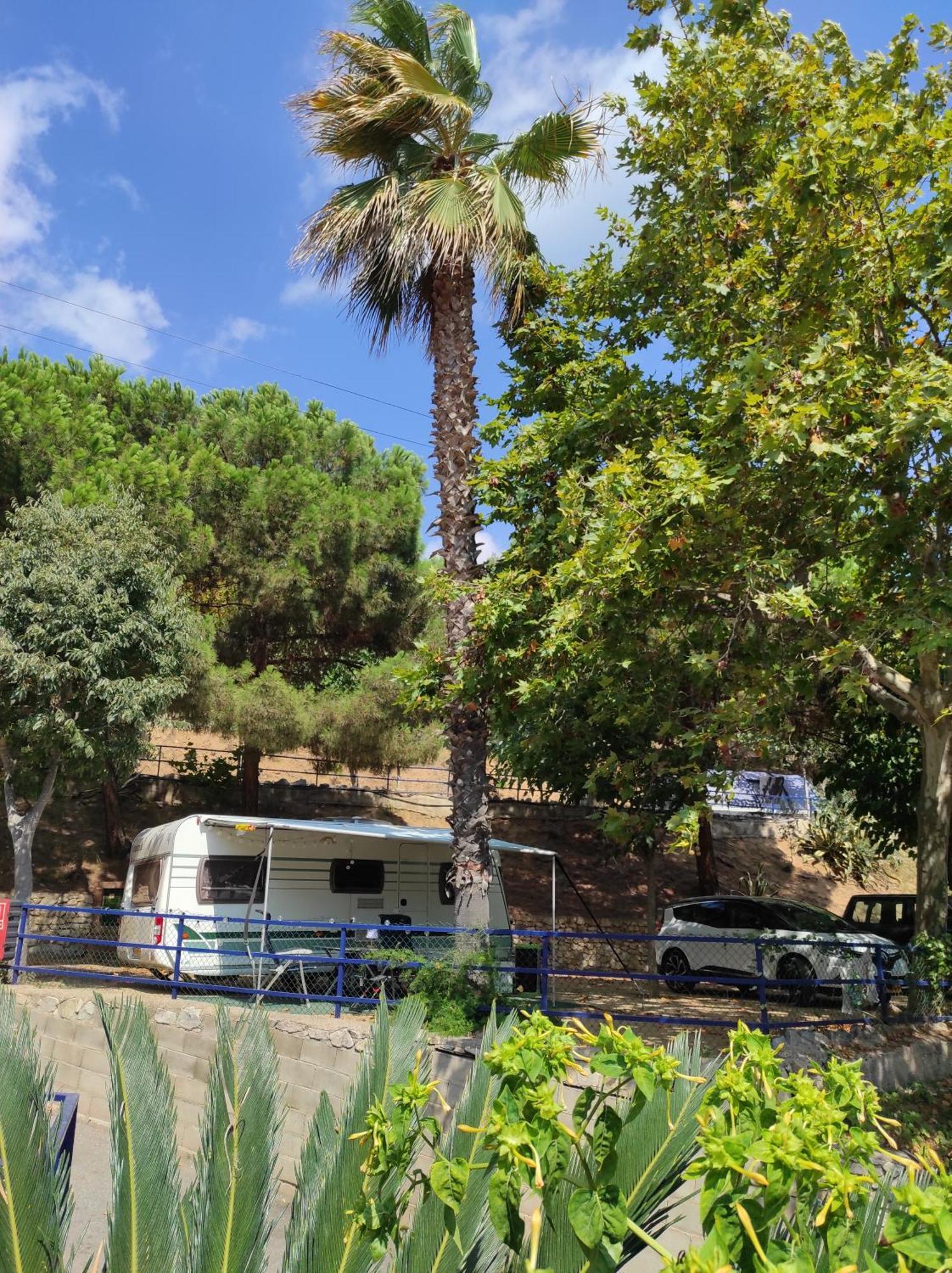 Roca Grossa Calella