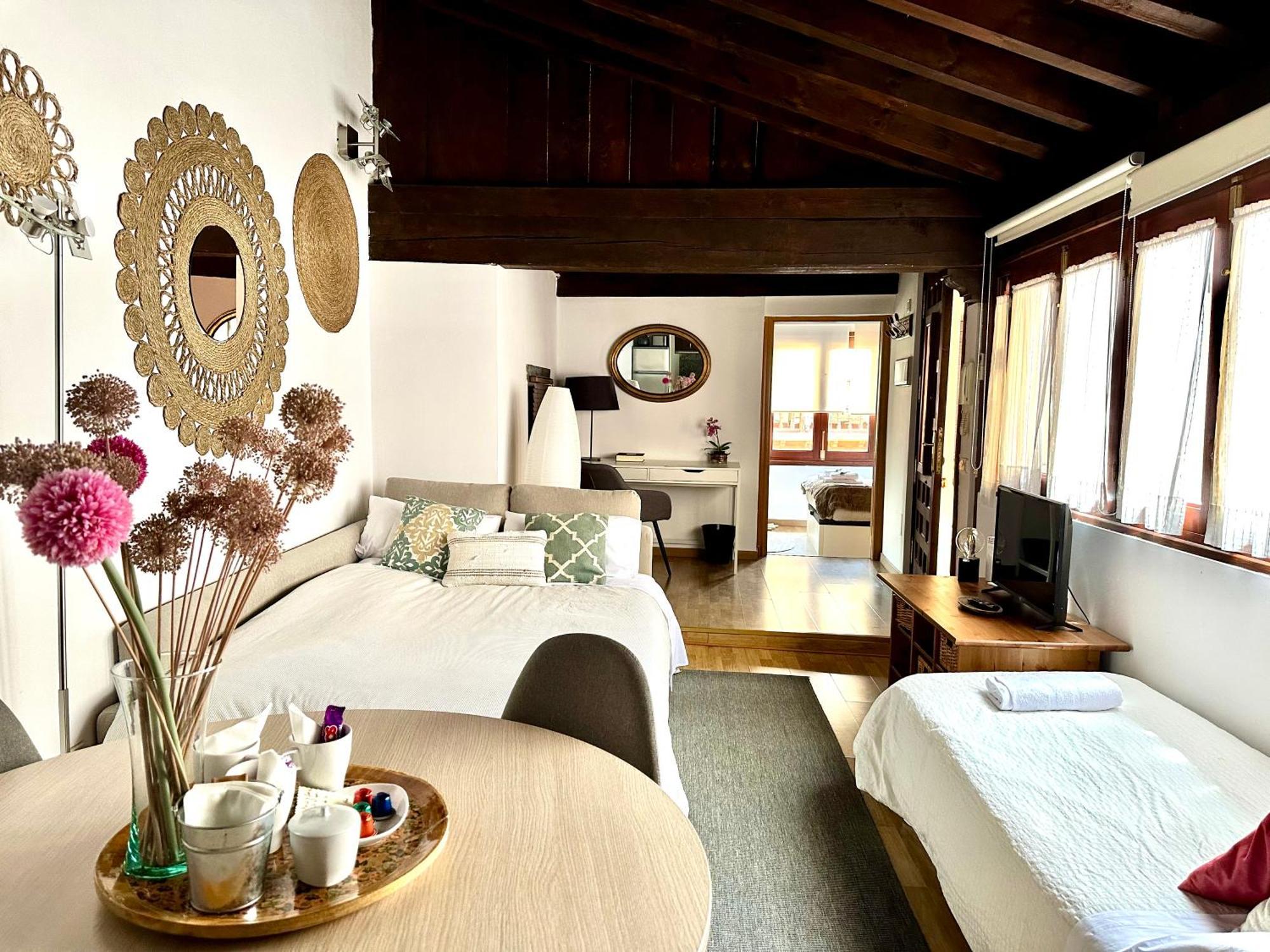Apartamento Apart. Palacio Canónigo 7 - Junto Catedral