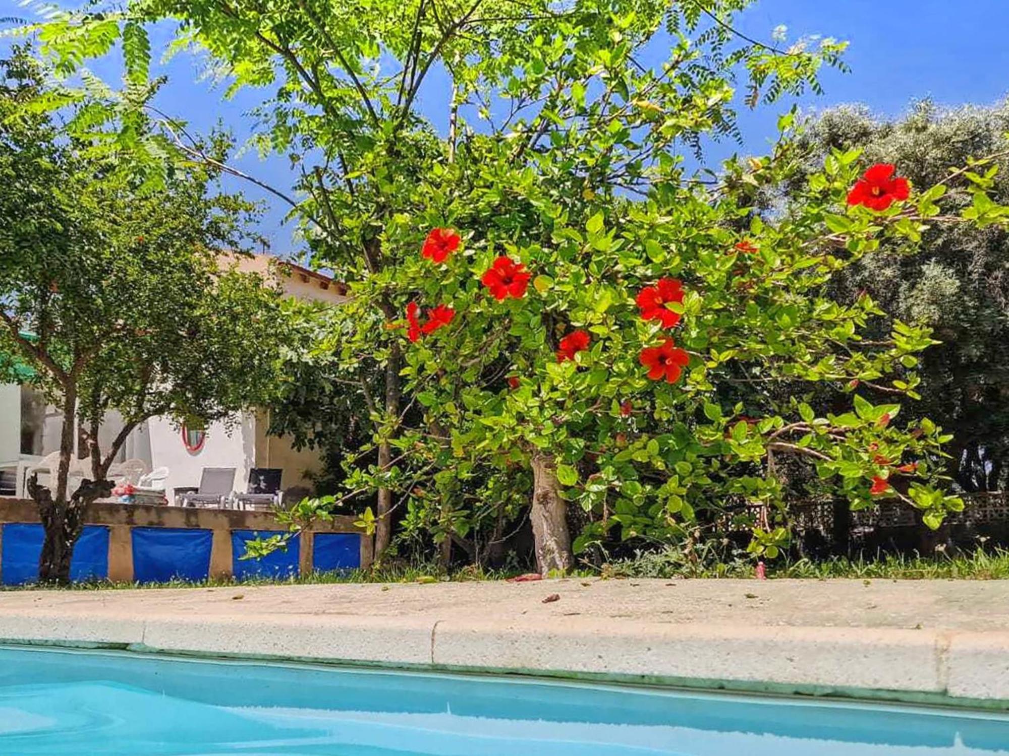 House With Exclusive Pool And Garden 7 Min Walk From The And The Center