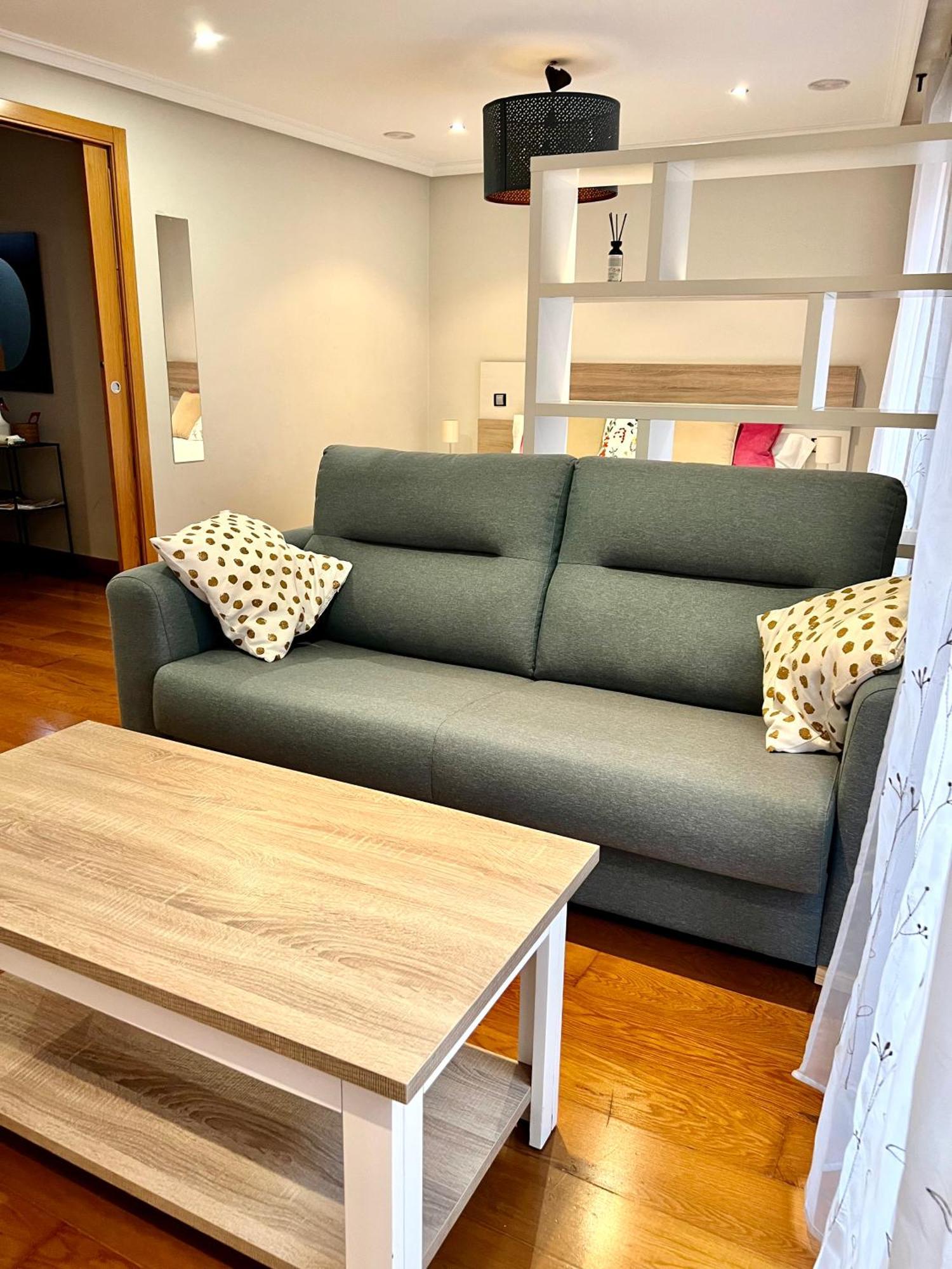 Apartment San Antonio Aranda de Duero
