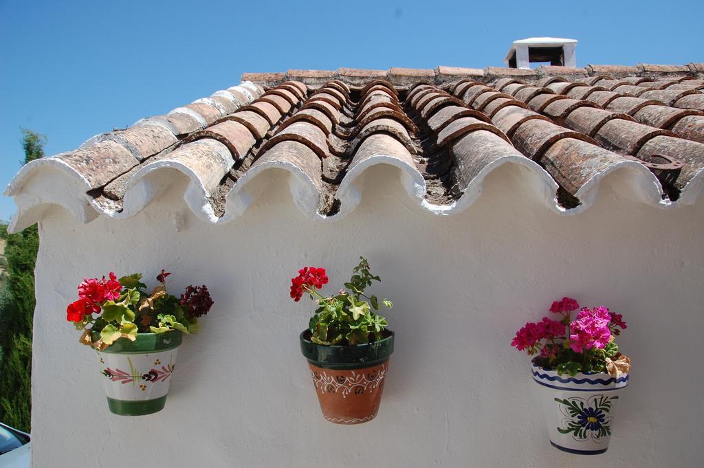 La Escuela Del Campo Bed & Breakfast Setenil De Las Bodegas