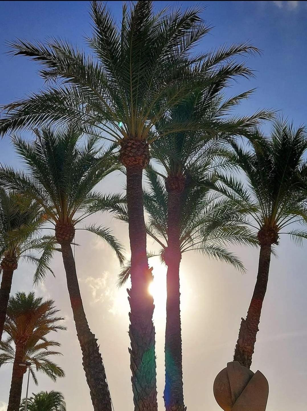 Bungalow ,orihuela Costa ,la-zenia