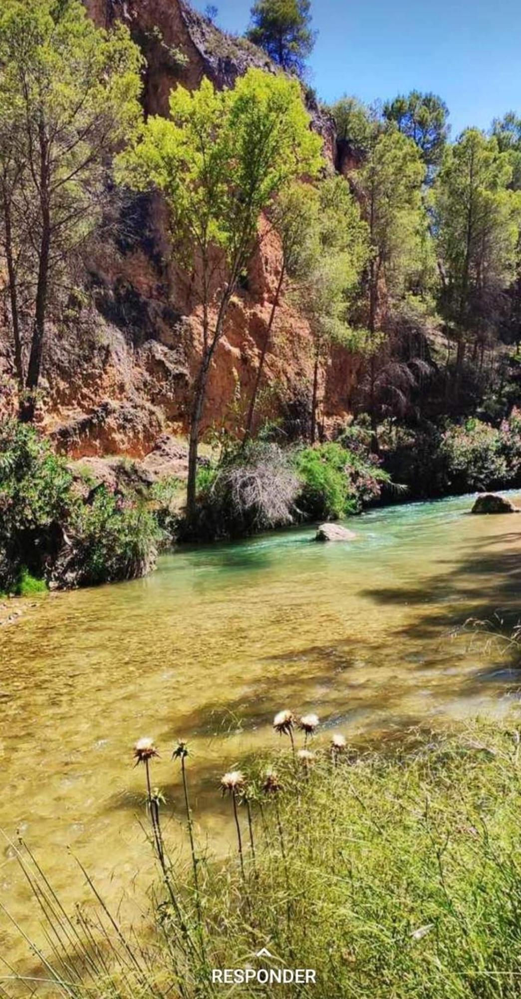 E Puente Del Segura Elche de la Sierra