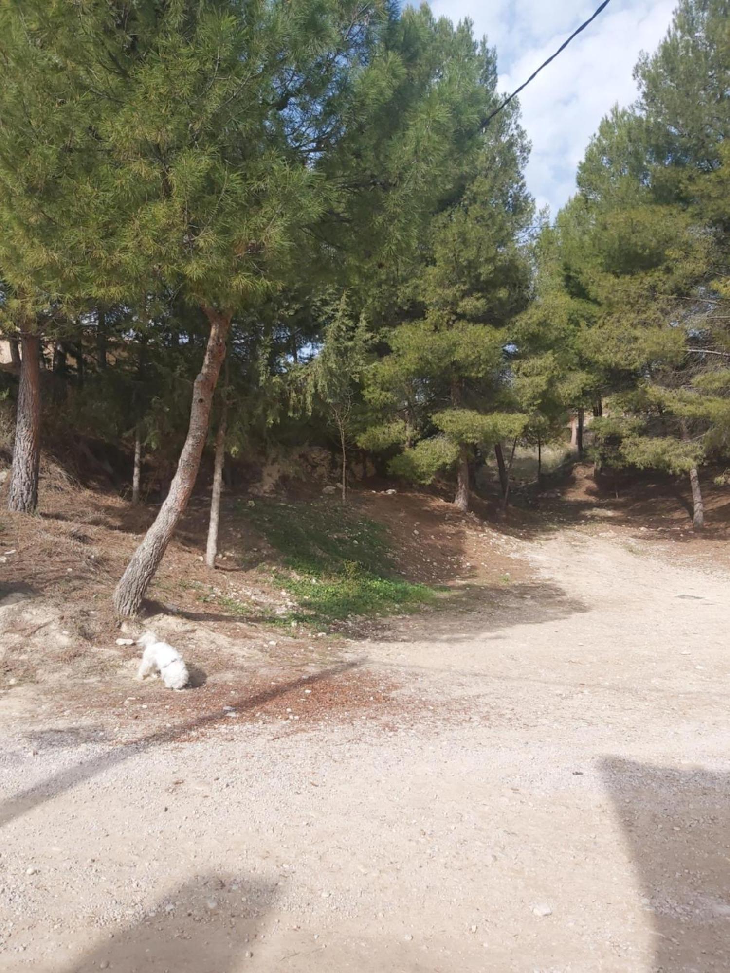 Casa Rural Puente Del Segura