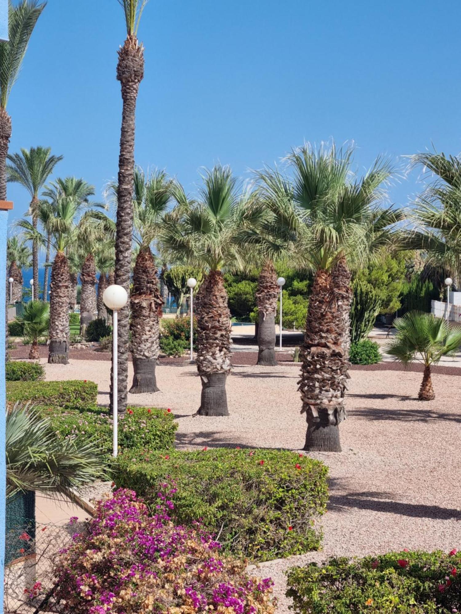 Zafiro Cabo Roig Apartment Orihuela