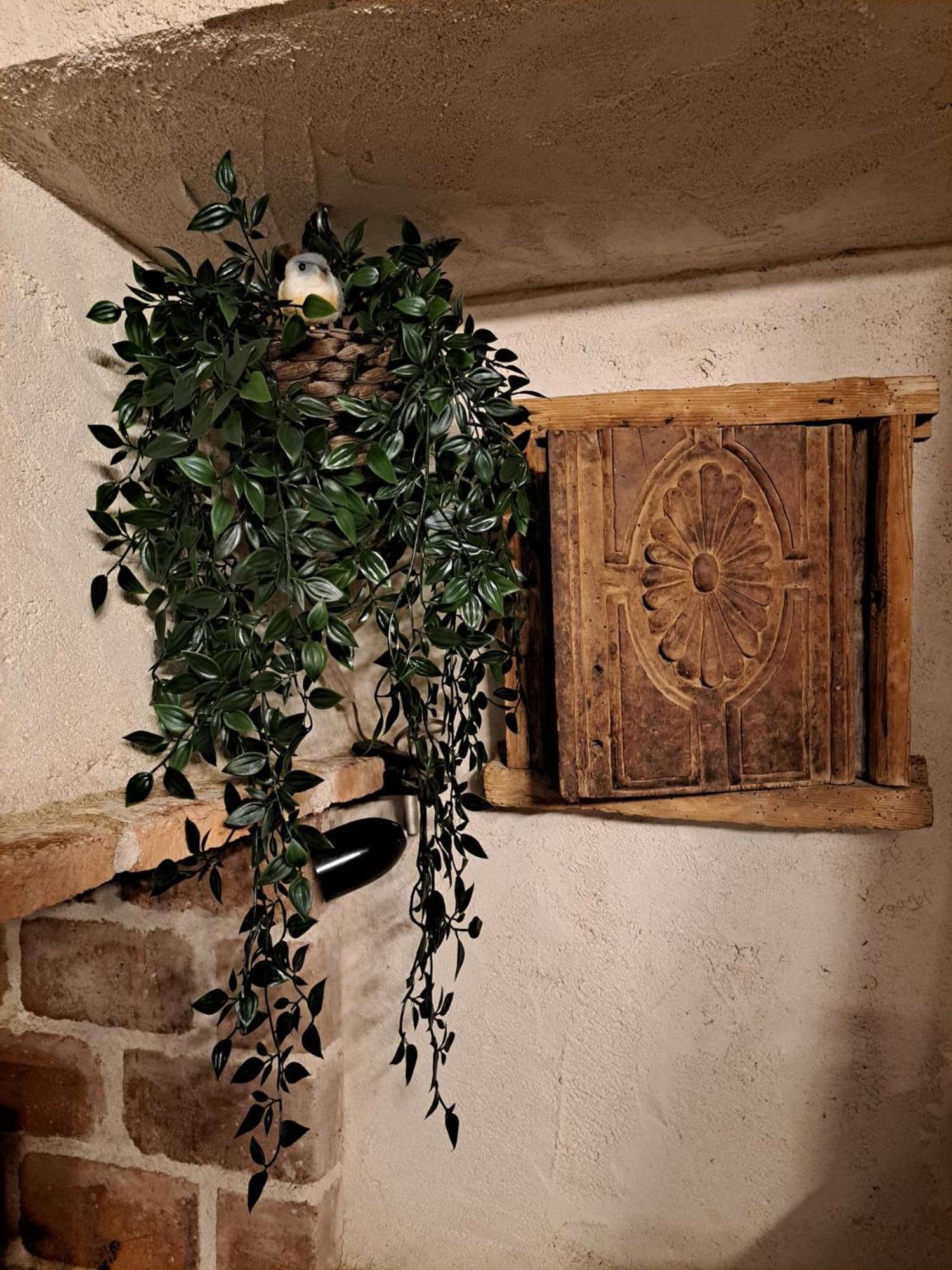 Apartment La Bodega, Ofrece Cata De Vino Gratis *