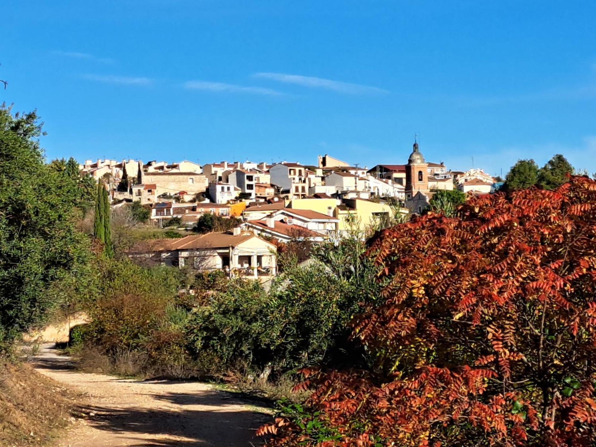 La Bodega, Ofrece Cata De Vino Gratis Apartment *