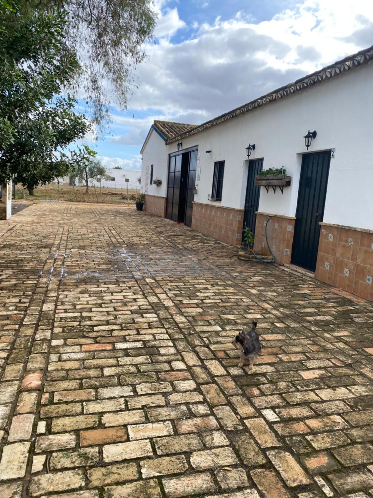 Casa Laureles * Pilas