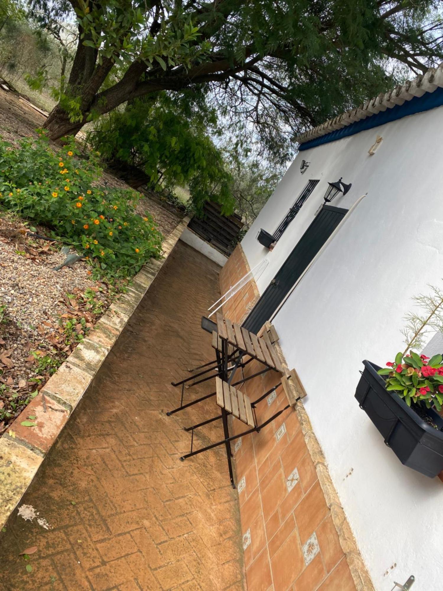 Pensión Casa Laureles