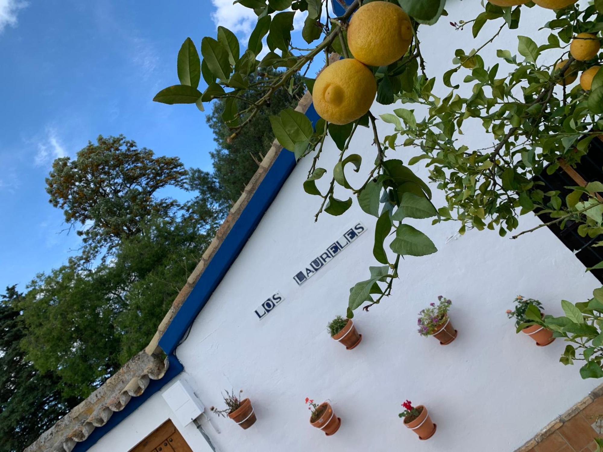 Casa Laureles