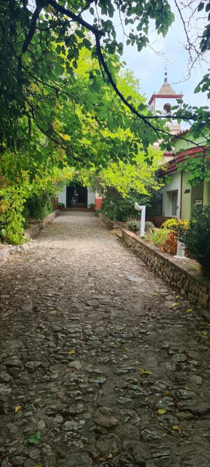 Cobre Apartment
