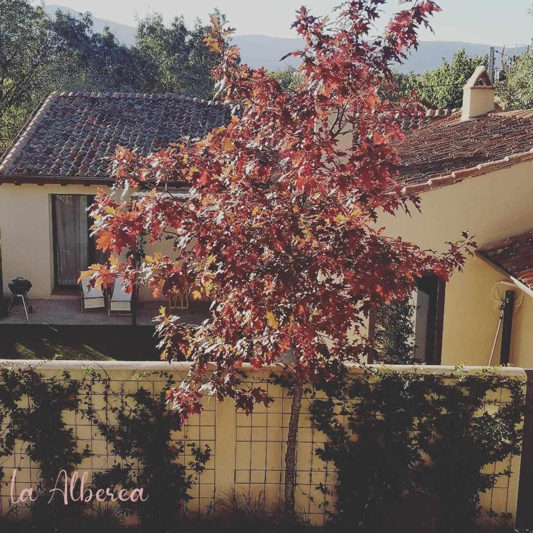 La Alberca Casa Con Jardin Y Piscina