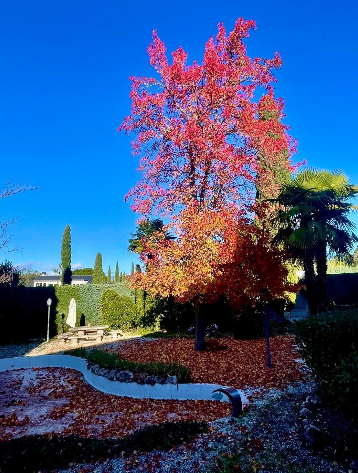 Esplendido En Bed & Breakfast Santo Domingo (Madrid)