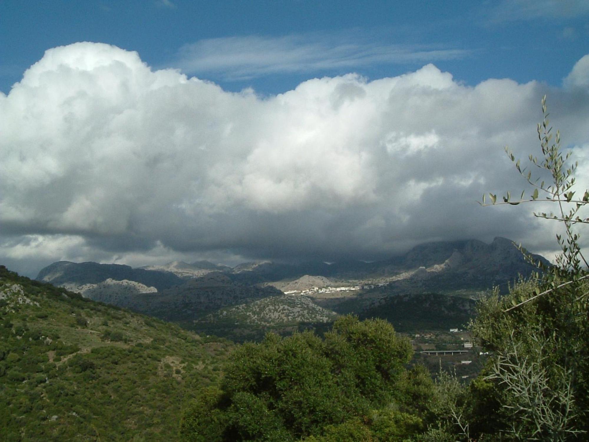 Hospederia Y Aptos Casa De Piedras Grazalema