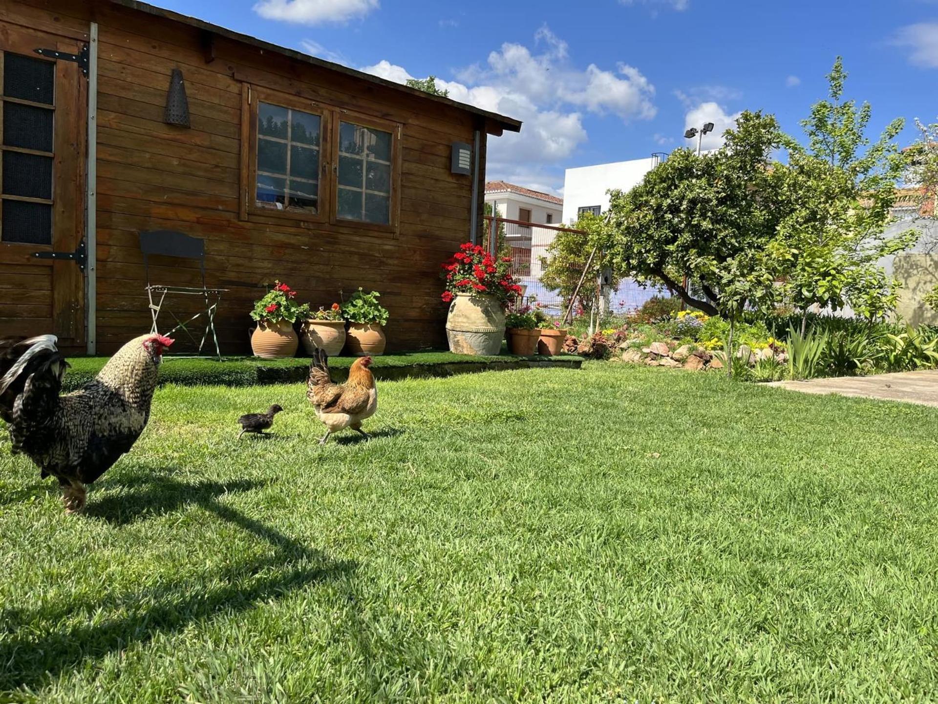 Casa rural El Secanet *