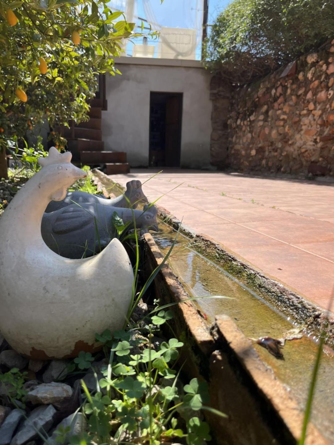 El Secanet Casa rural Algimia de Alfara