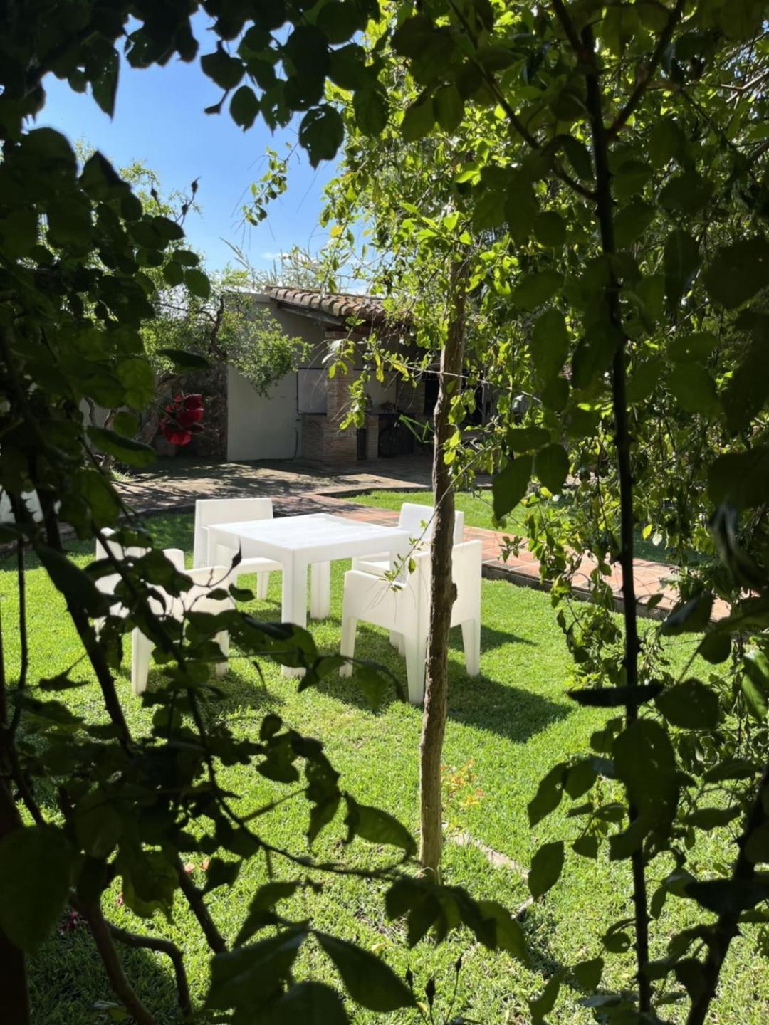 Casa rural El Secanet Algimia de Alfara
