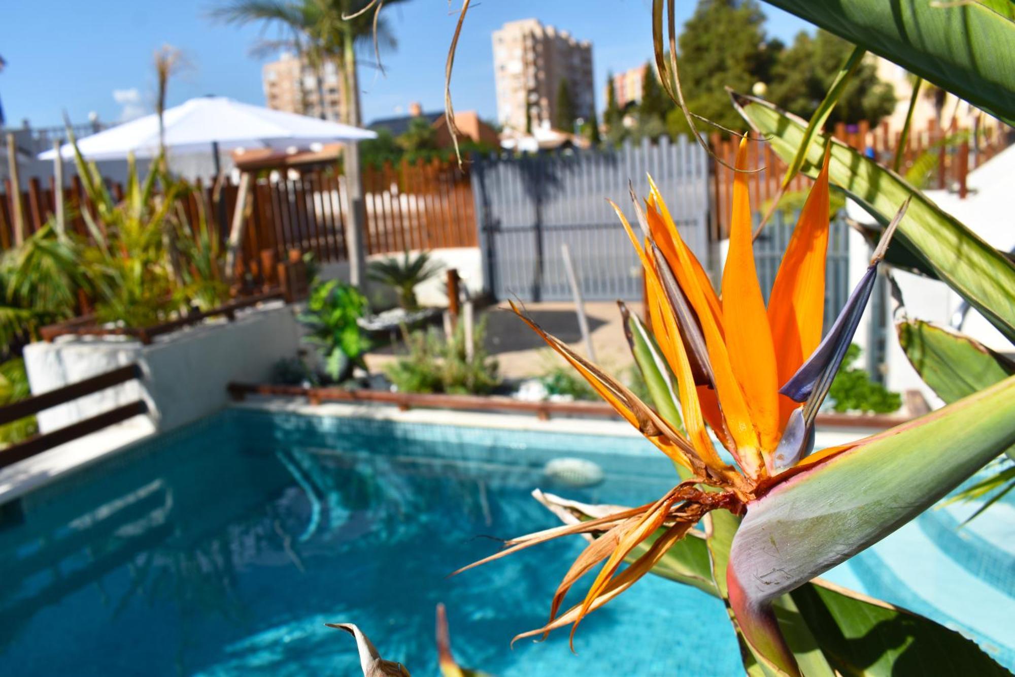 Apartamento Turisticos Marine Rest La Manga Mar Menor Piscinas Privadas Playa Paraiso (Murcia)