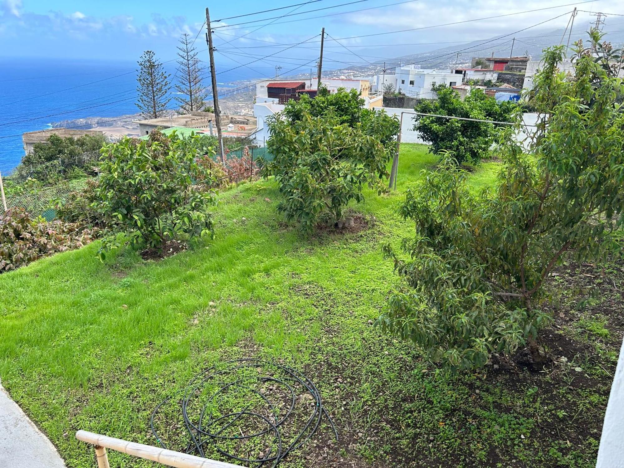 Apartamento Casa La Oliva *
