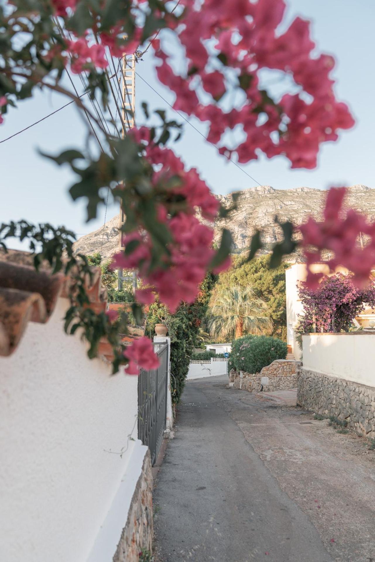 Coliving & Coworking Costa Blanca Dénia