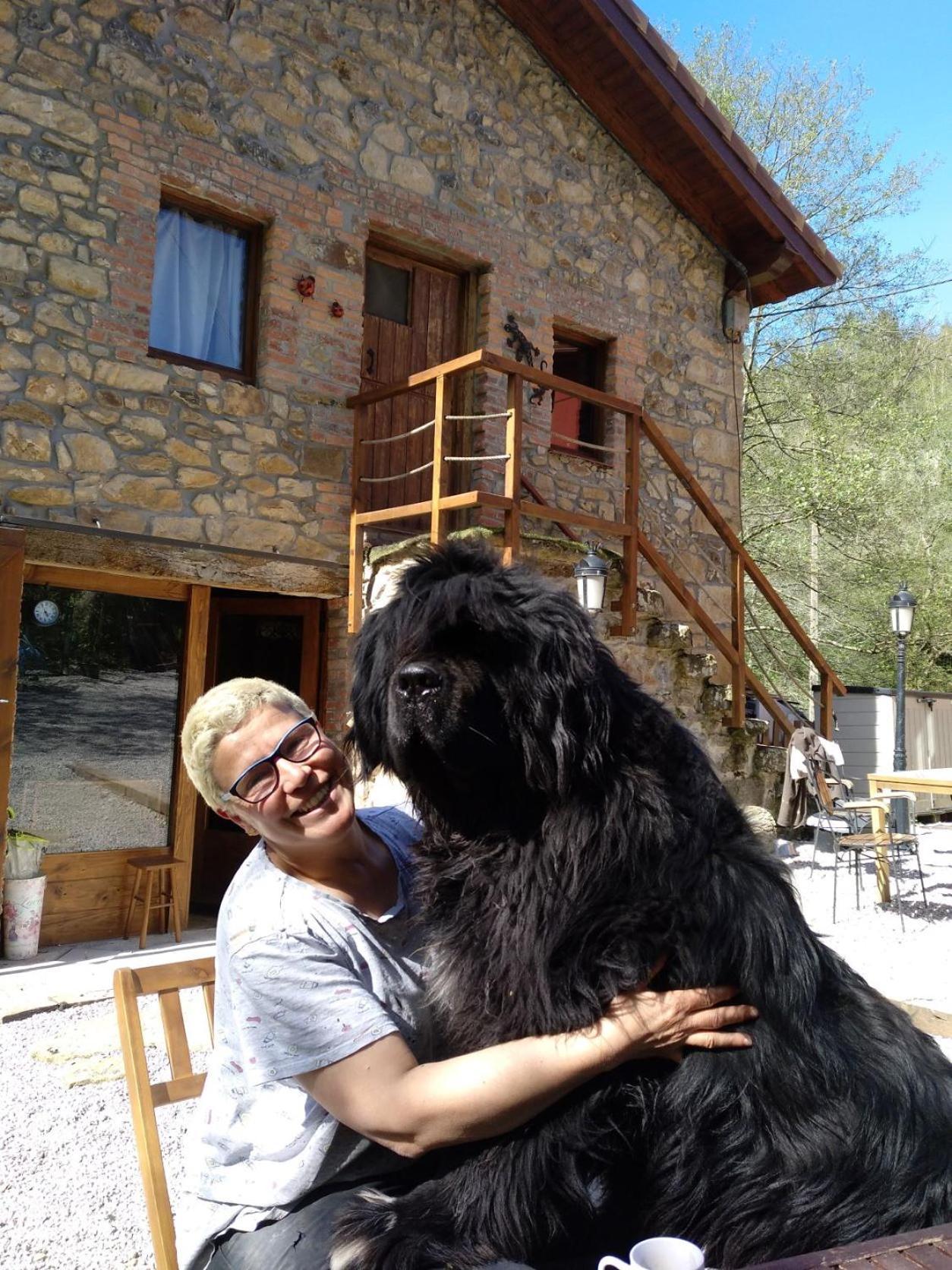 Pet Friendly El Molino De Cantabria Inn Entrambasaguas (Entrambasaguas)