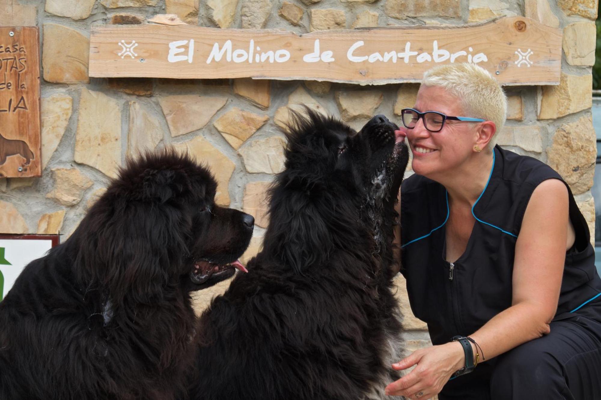 Pet Friendly El Molino De Cantabria Inn