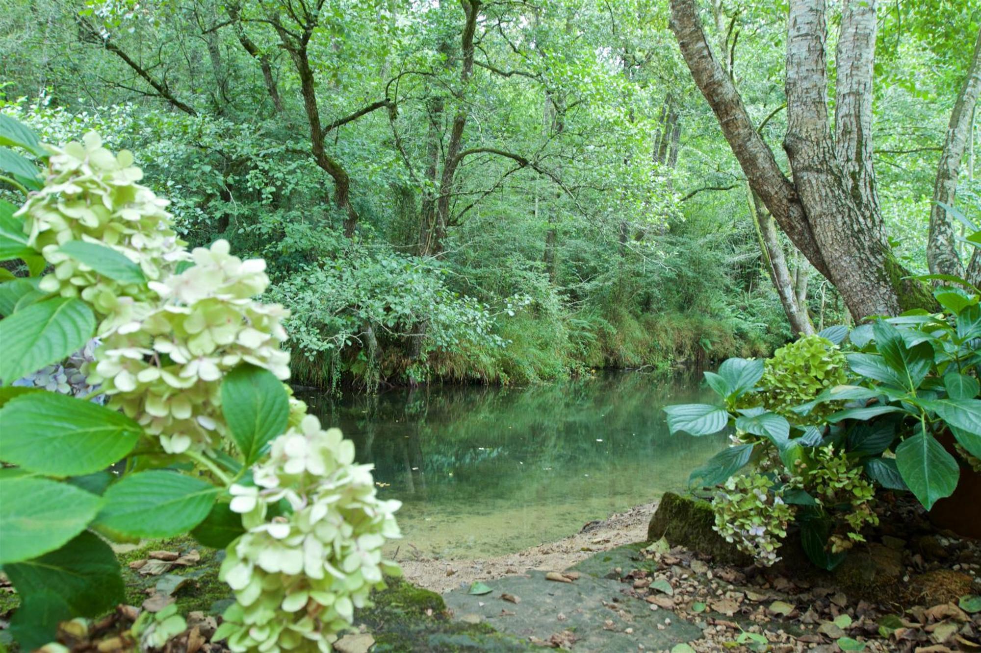 Inn Pet Friendly El Molino De Cantabria