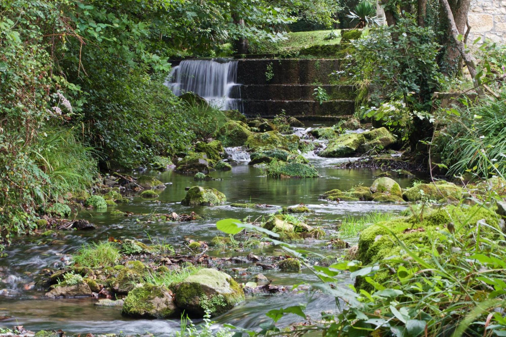 Pet Friendly El Molino De Cantabria Inn *