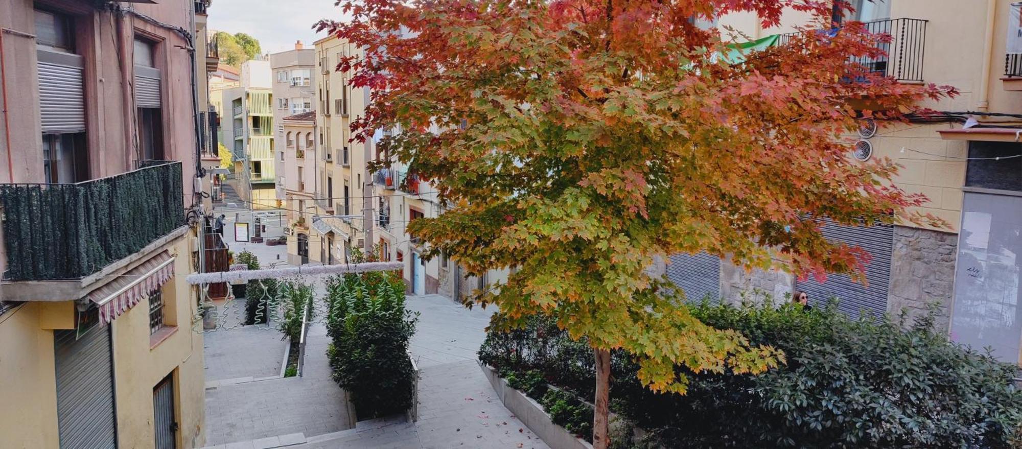 Antic 2 Apartamento