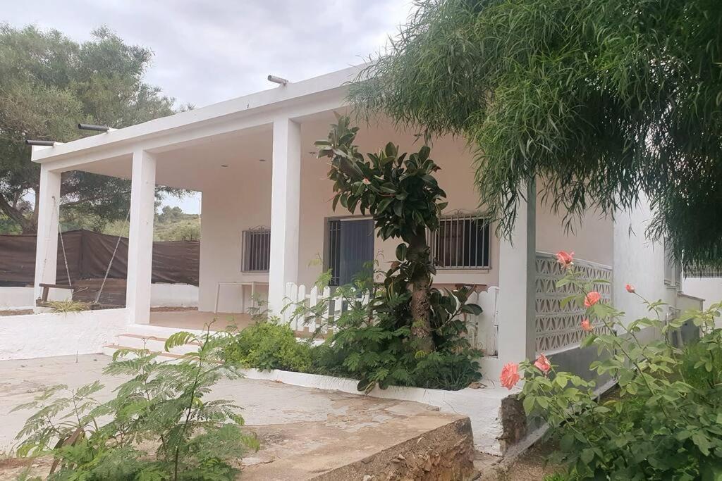 Holiday home Con Piscina Y Barbacoa 6 Personas En Plena Naturaleza Picassent