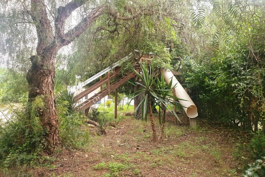 Con Piscina Y Barbacoa 6 Personas En Plena Naturaleza *