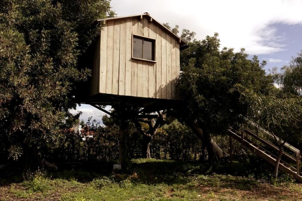 Holiday home Con Piscina Y Barbacoa 6 Personas En Plena Naturaleza