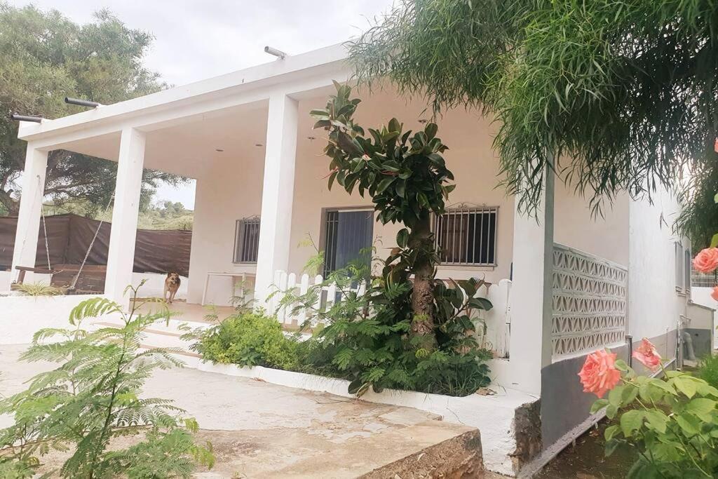 Holiday home Con Piscina Y Barbacoa 6 Personas En Plena Naturaleza Picassent
