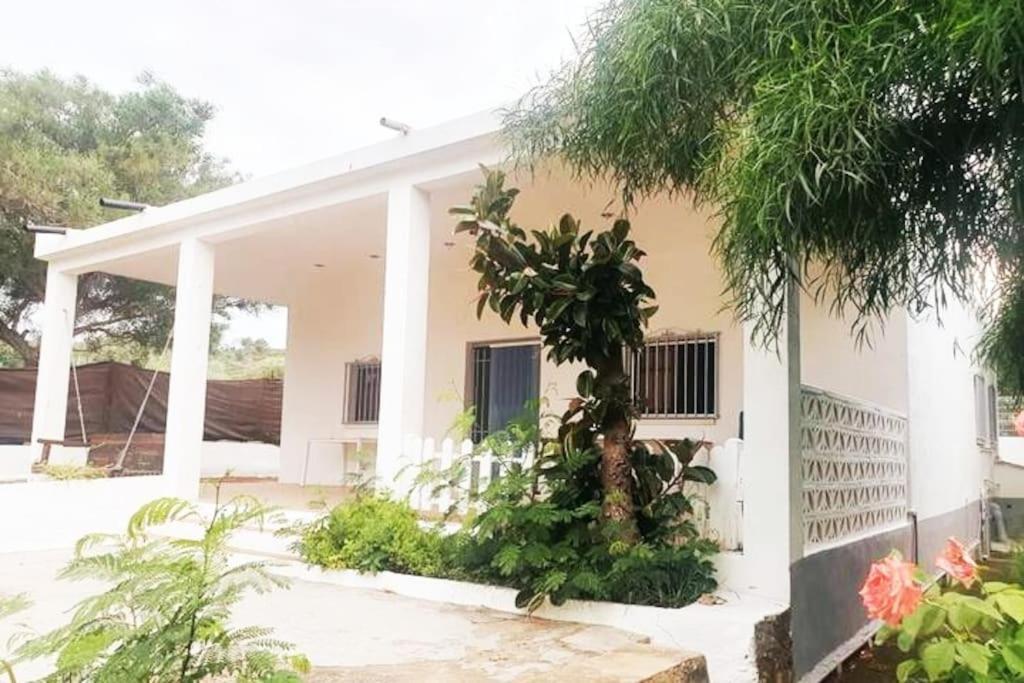 Con Piscina Y Barbacoa 6 Personas En Plena Naturaleza Holiday home Picassent