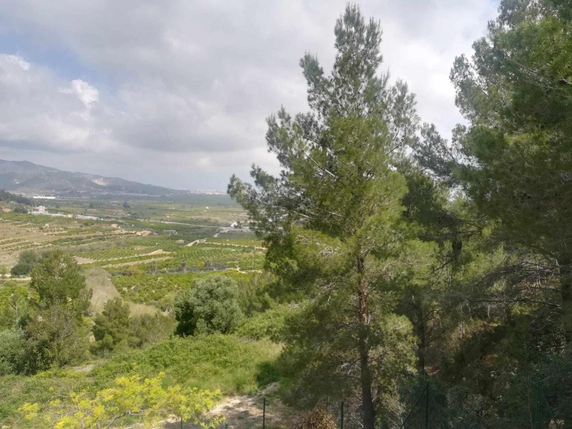 Encanto Mediterraneo With Airco Apartamento *