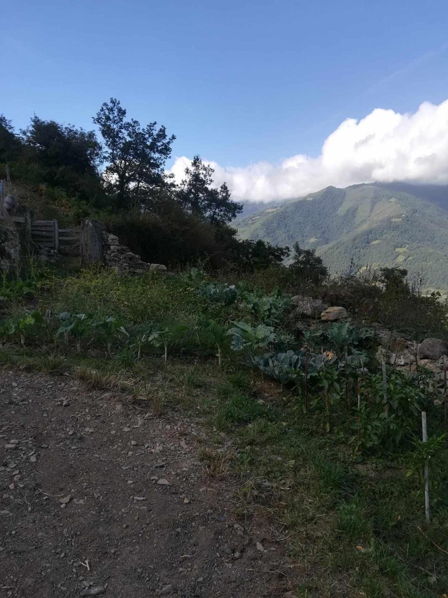 Asturias Boho Chic Aller