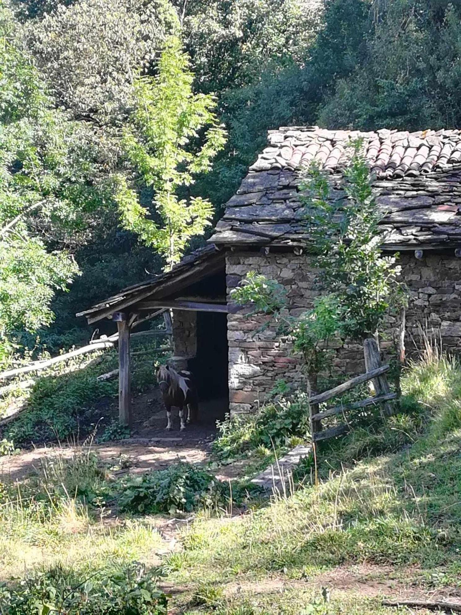 Asturias Boho Chic *