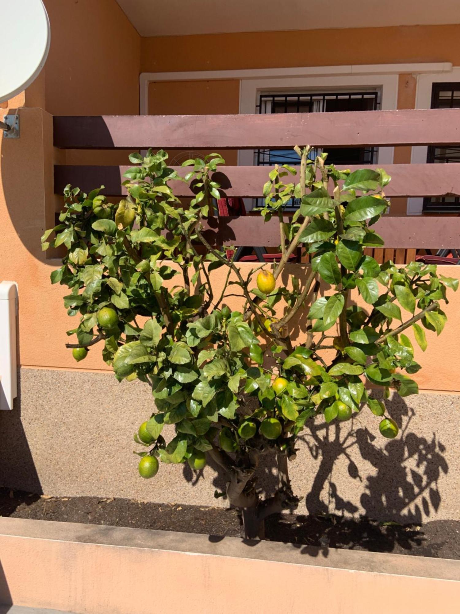 Apartment A Costa En Espagne