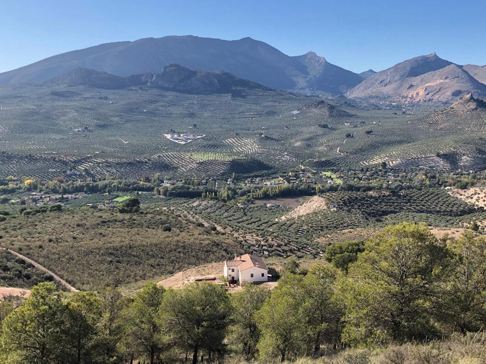 Casa Dehesa San Cristobal, * Jaen