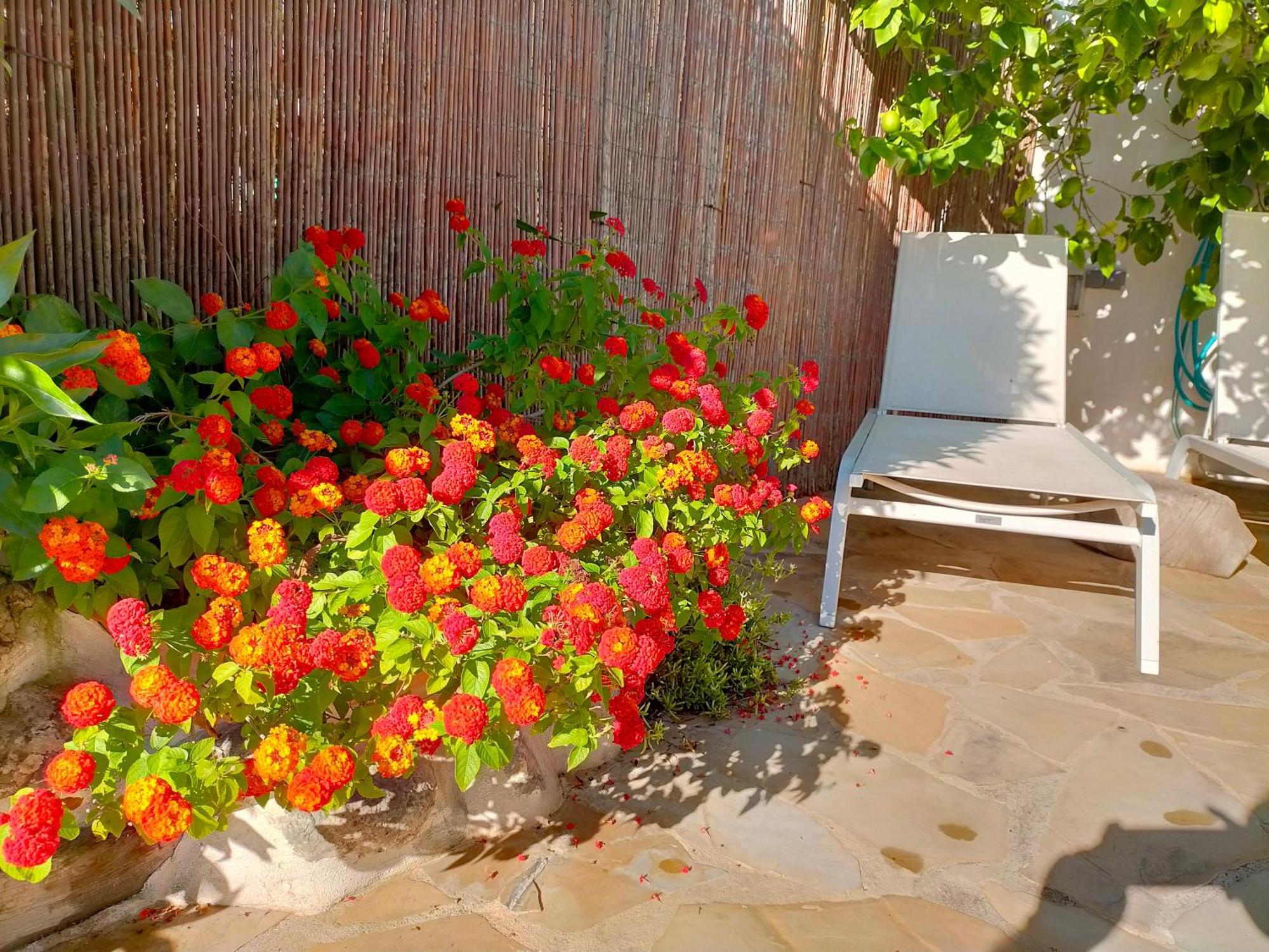 Tia Salome Holiday home San Jorge (Castellon)