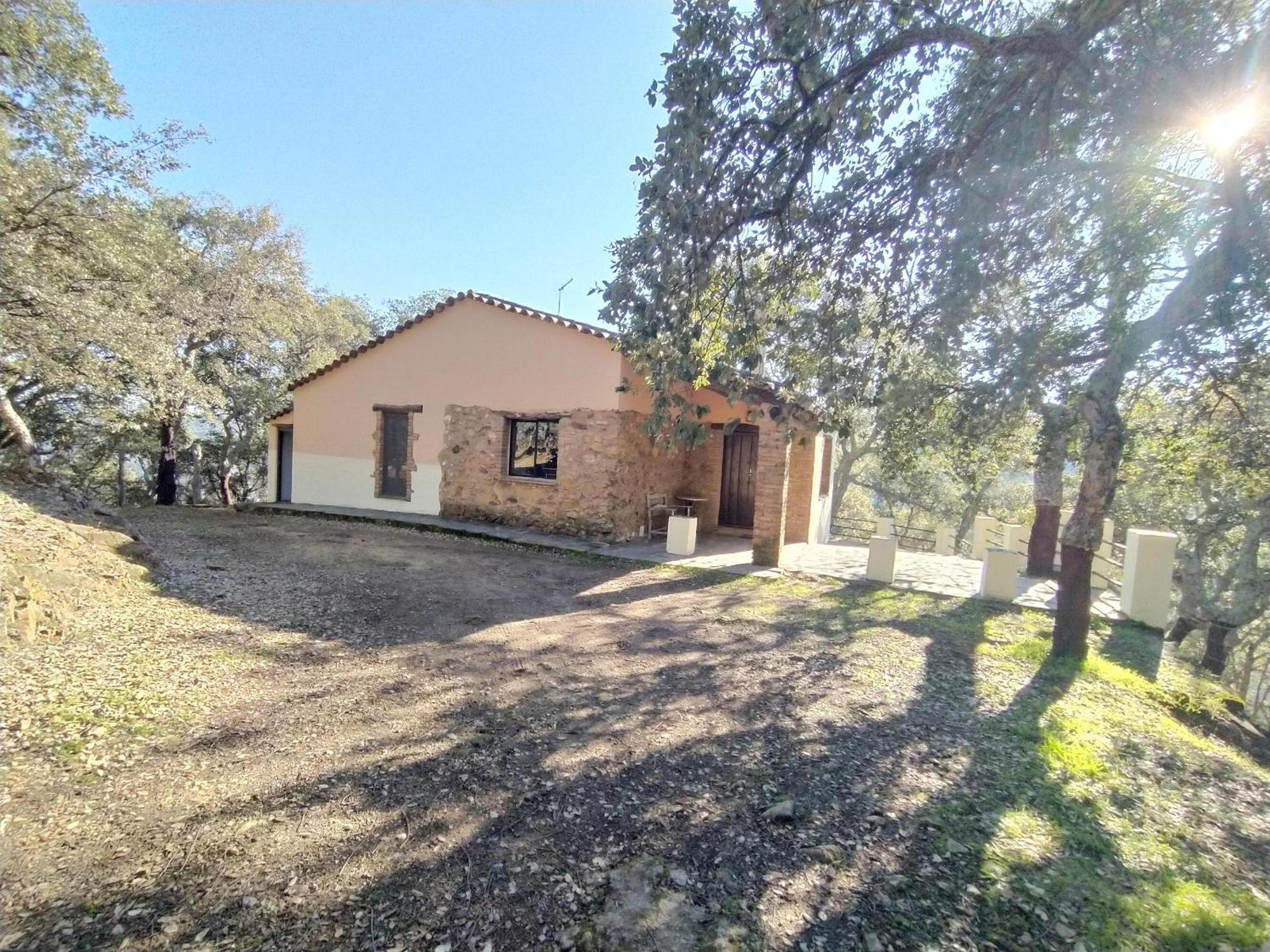 Pozuelo 2 *