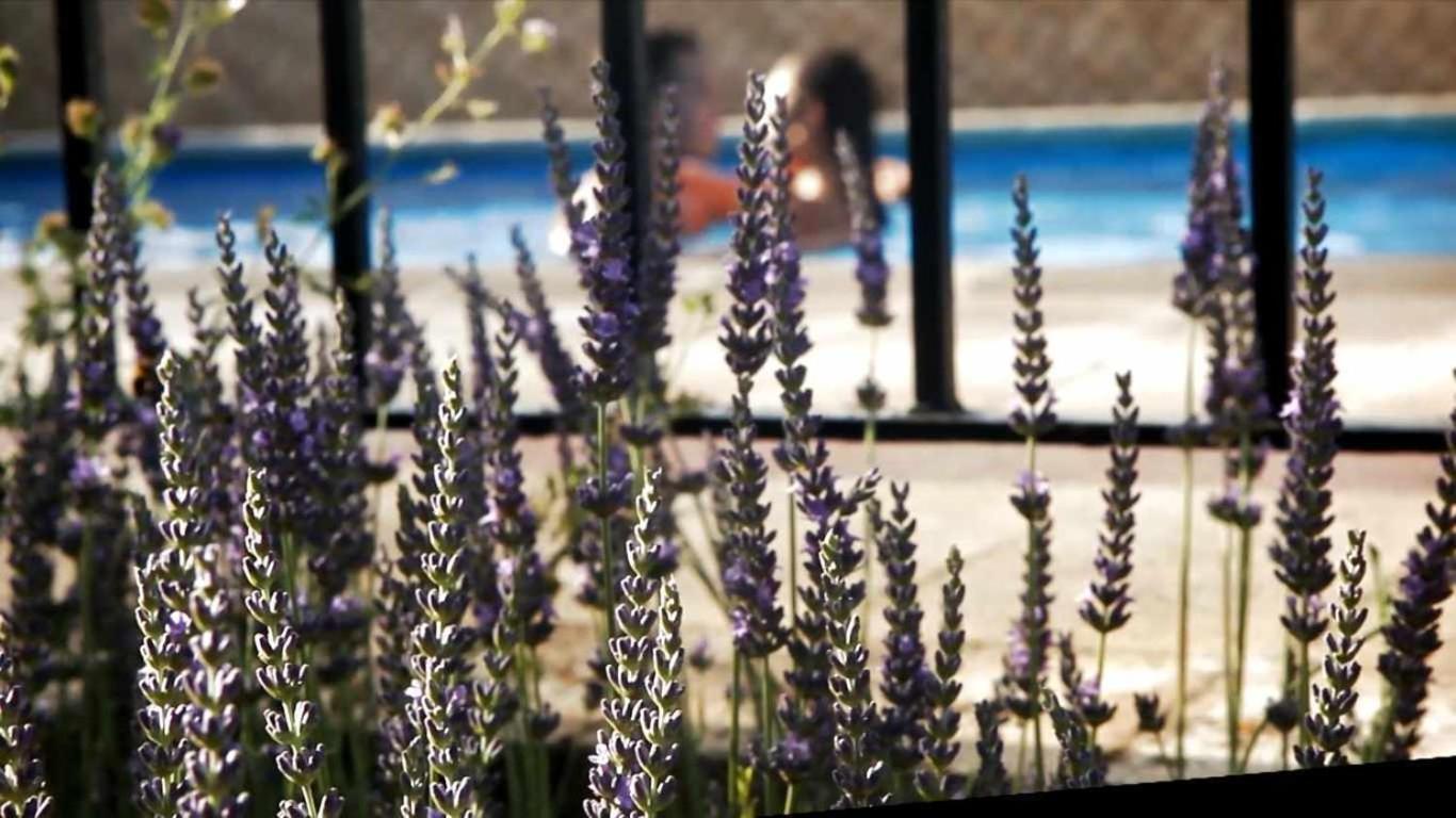 El Salero Piscina Y Chimenea Country house *