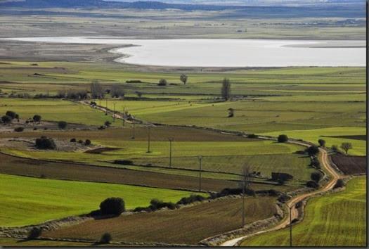 Aromas Del Jiloca, La Trufa Negra Calamocha