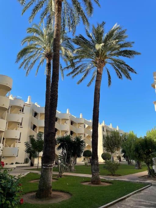 Ricky´s Village La Felicidad Apartamento