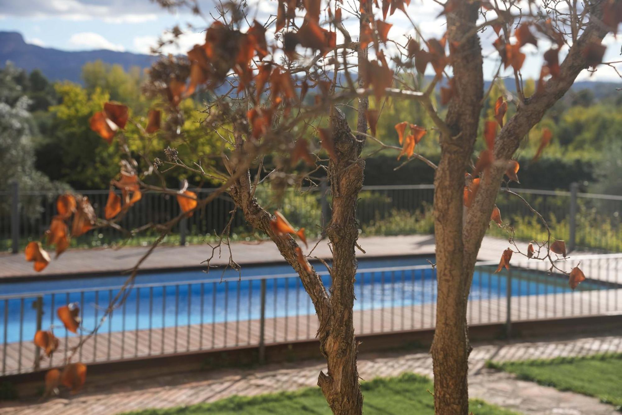 Hort De Fortunyo 2* Arnes