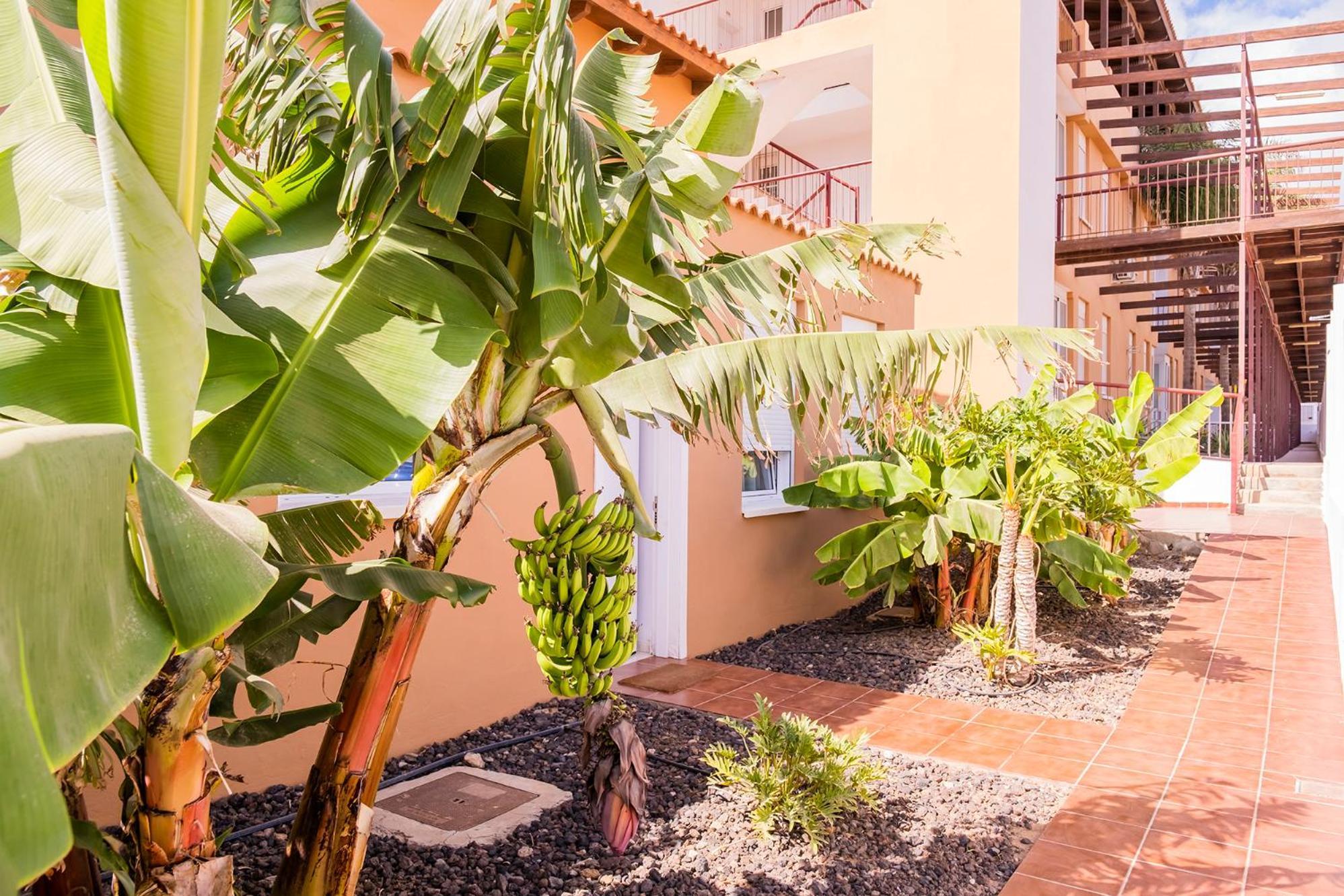 Сasa de vacaciones La Platanera By Vive La Exclusividad *