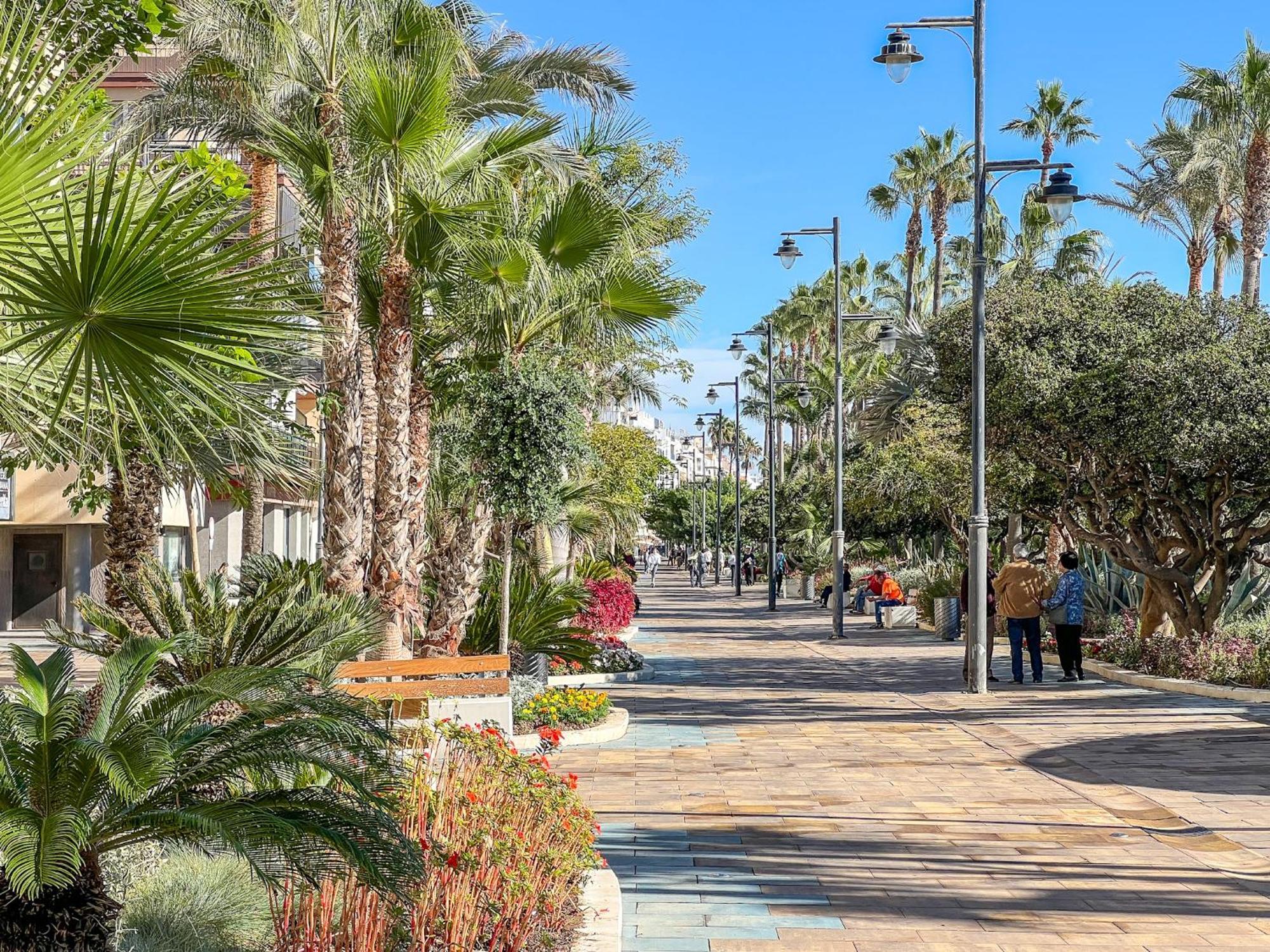 Hanami Avenida De España