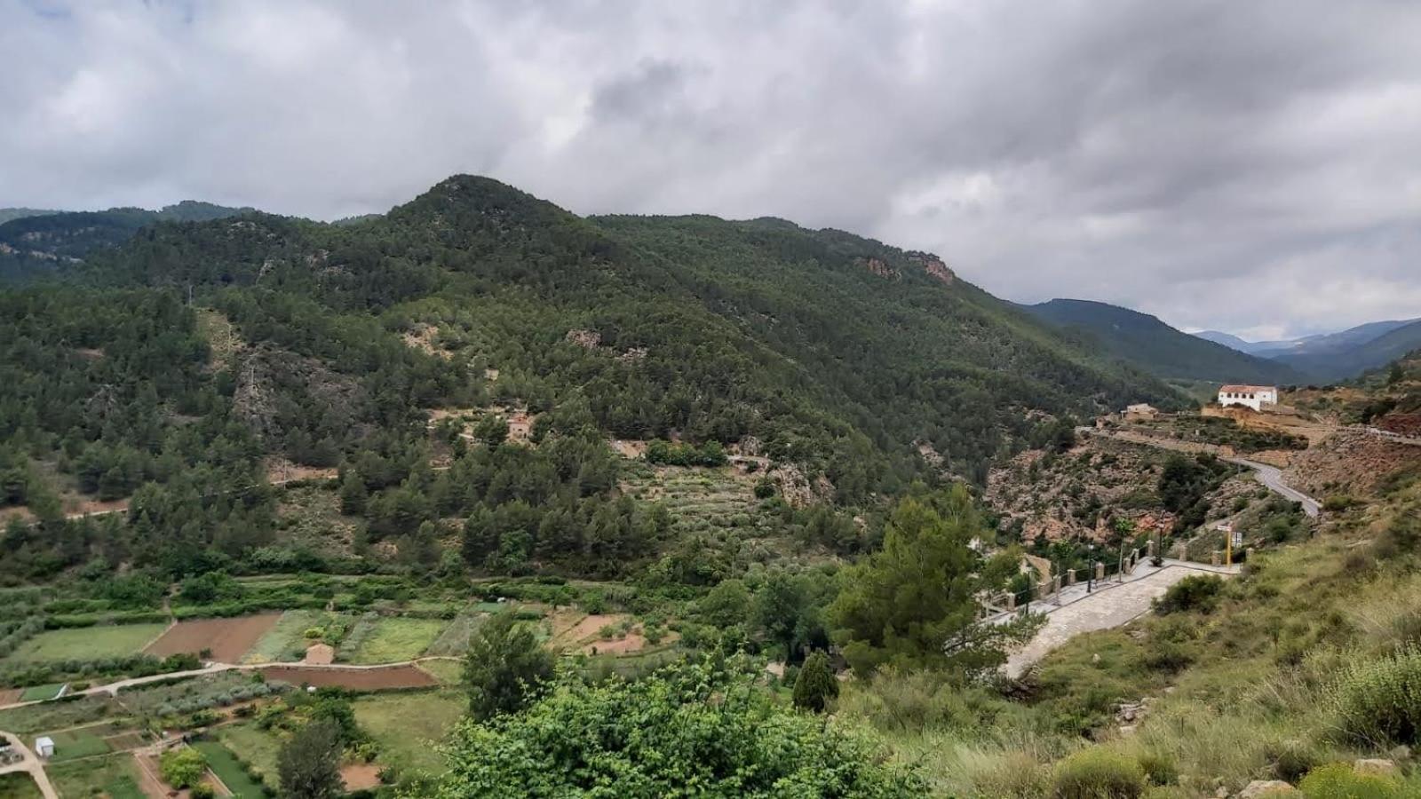 Rural 