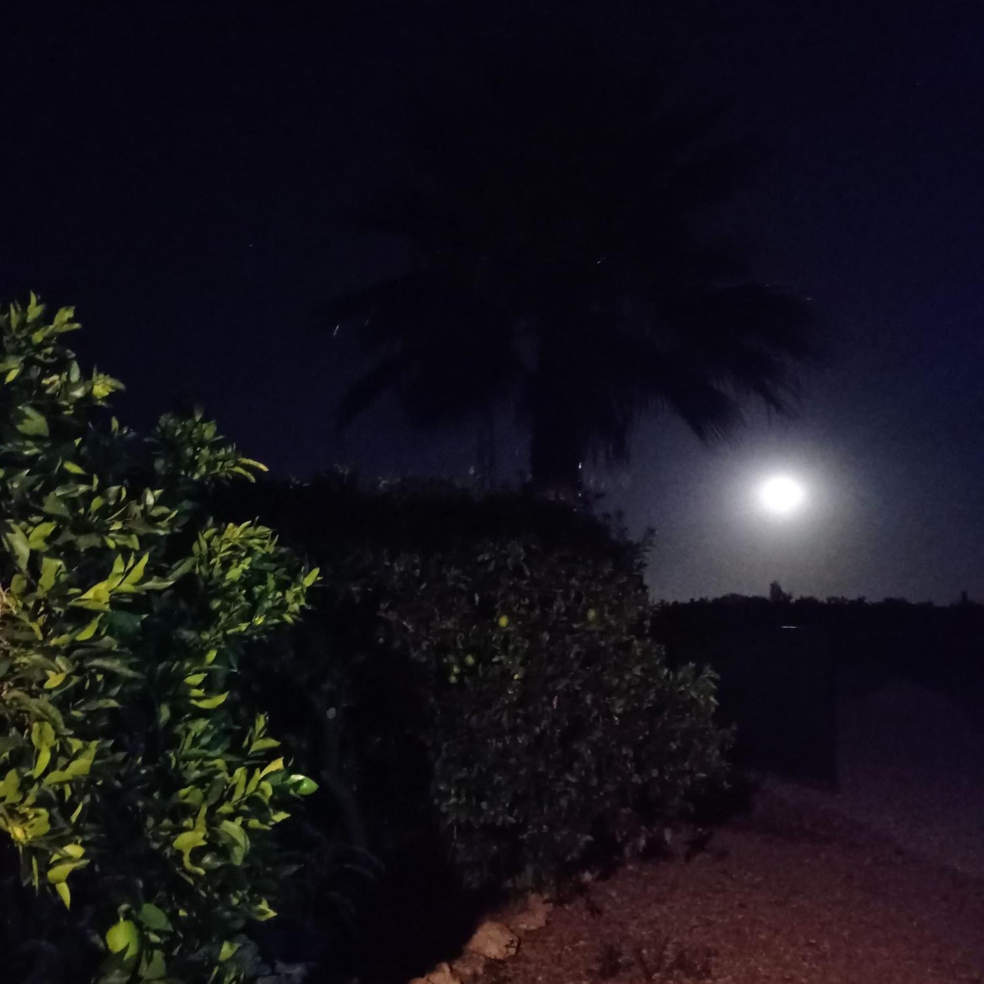 Сasa de vacaciones La Buganvilla, Descanso Entre Olivares Hornachuelos
