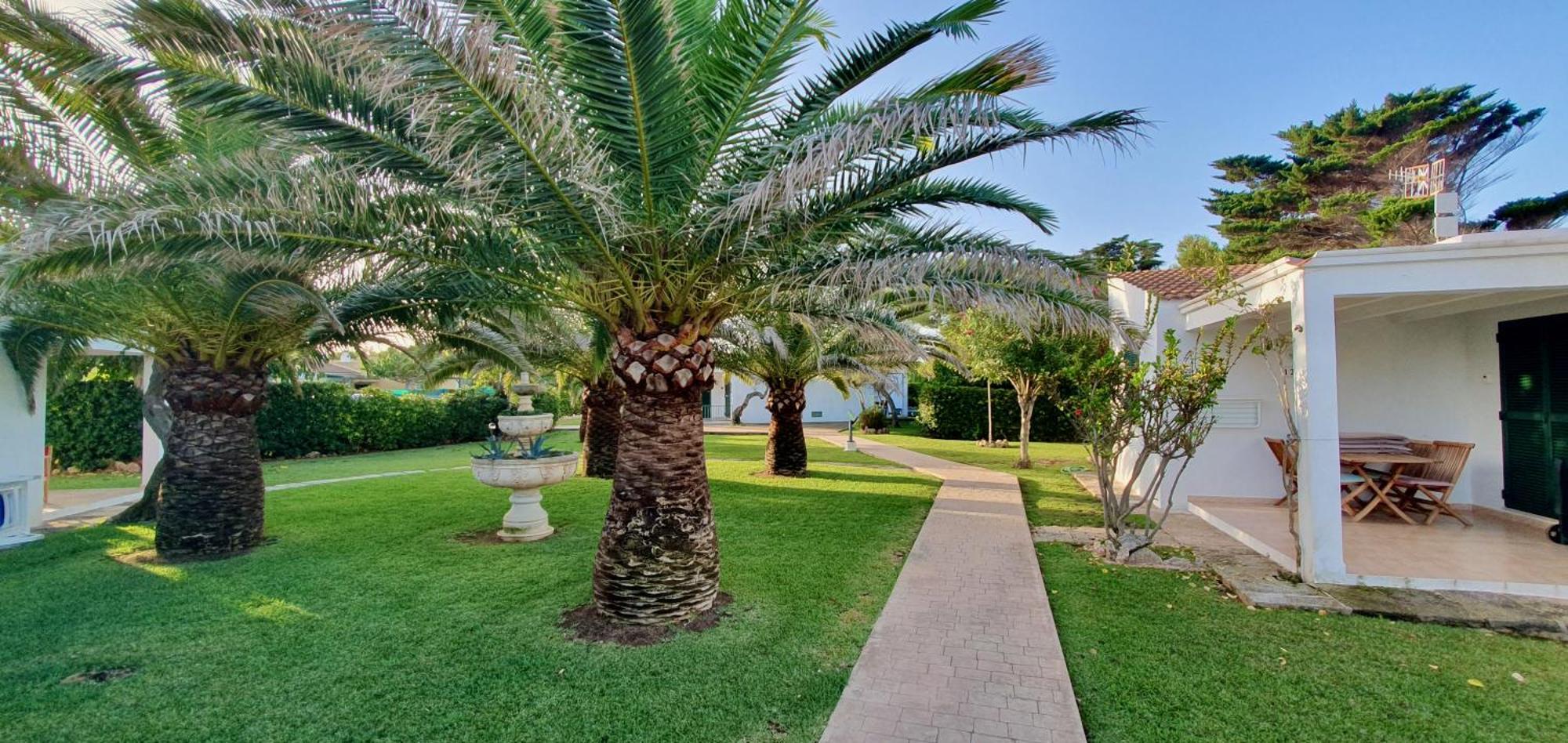 Tramuntana * Cala'N Bosch (Menorca)